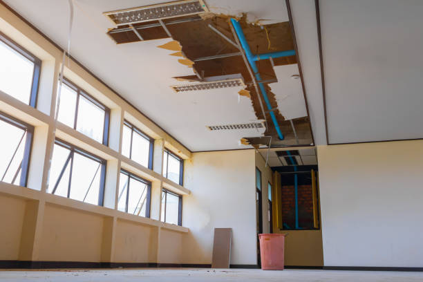 Best Mold removal after water damage  in Country Homes, WA