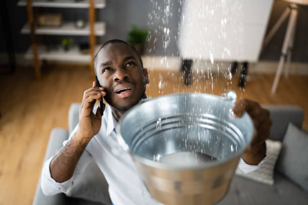 Best Water damage contractors near me  in Country Homes, WA