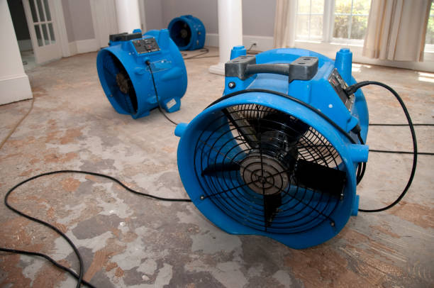Best Commercial water damage restoration  in Country Homes, WA