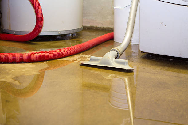 Best Water damage restoration near me  in Country Homes, WA