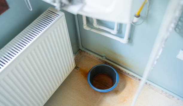 Best Professional water damage repair  in Country Homes, WA