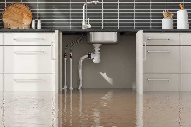 Best Professional water damage repair  in Country Homes, WA