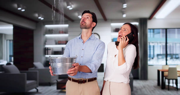 Best Water damage cleanup near me  in Country Homes, WA